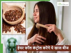 बालों में इस तरह लगाएं अलसी के बीज का पेस्ट, 1 बार लगाने से ही रुक जाएगा बालों का झड़ना