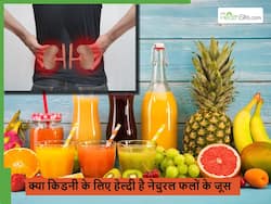 क्या सच में हेल्दी फलों के जूस भी किडनी को पहुंचा सकते हैं नुकसान? एक्सपर्ट्स से जानिए
