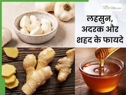 लहसुन, अदरक और शहद को एक साथ खाने से मिलेंगे ये 5 फायदे, इस तरह करें डाइट में शामिल