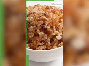 गर्मी में गोंद कतीरा कैसे खाएं?