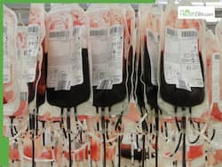 Medical Breakthrough: 5-Yr-Old Becomes First In The World To Undergo Rare Bone Marrow Transplant