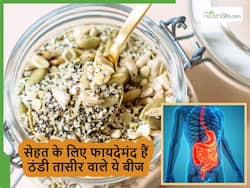 बॉडी को कूल रखेंगे ठंडी तासीर के ये बीज, साथ में बढ़ेगा वजन और 50 की उम्र में भी दिखेंगे 30 के जैसे