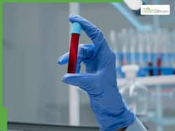 World Hemophilia Day: How To Recognise This Rare Bleeding Disorder