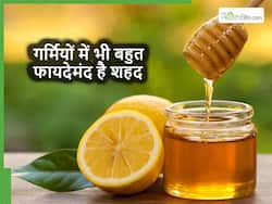 सिर्फ सर्दियों में ही नहीं गर्मियों में भी बेहद फायदेमंद है शहद, जानें इसके 5 फायदे और सेवन का सही तरीका