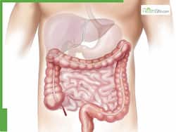 Healthy Everyday Diet: These Are The 6 Most Liver-Friendly Foods