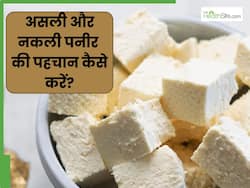 असली और नकली पनीर के पहचान कैसे करें? जानें पनीर की शुद्धता का पता लगाने के 4 तरीके
