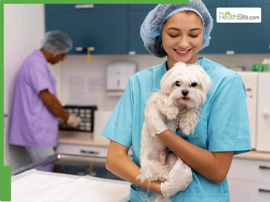 How Preventive Care For Pets Ensures A Healthier Life
