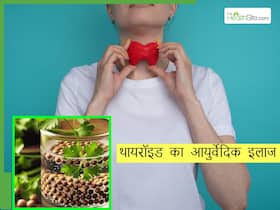 आयुर्वेद की मदद से कंट्रोल करना है थायरॉइड? ये एक्सपर्ट टिप्स करें आज से ही फॉलो आयुर्वेद की मदद से कंट्रोल करना है थायरॉइड? ये एक्सपर्ट टिप्स करें आज से ही फॉलो