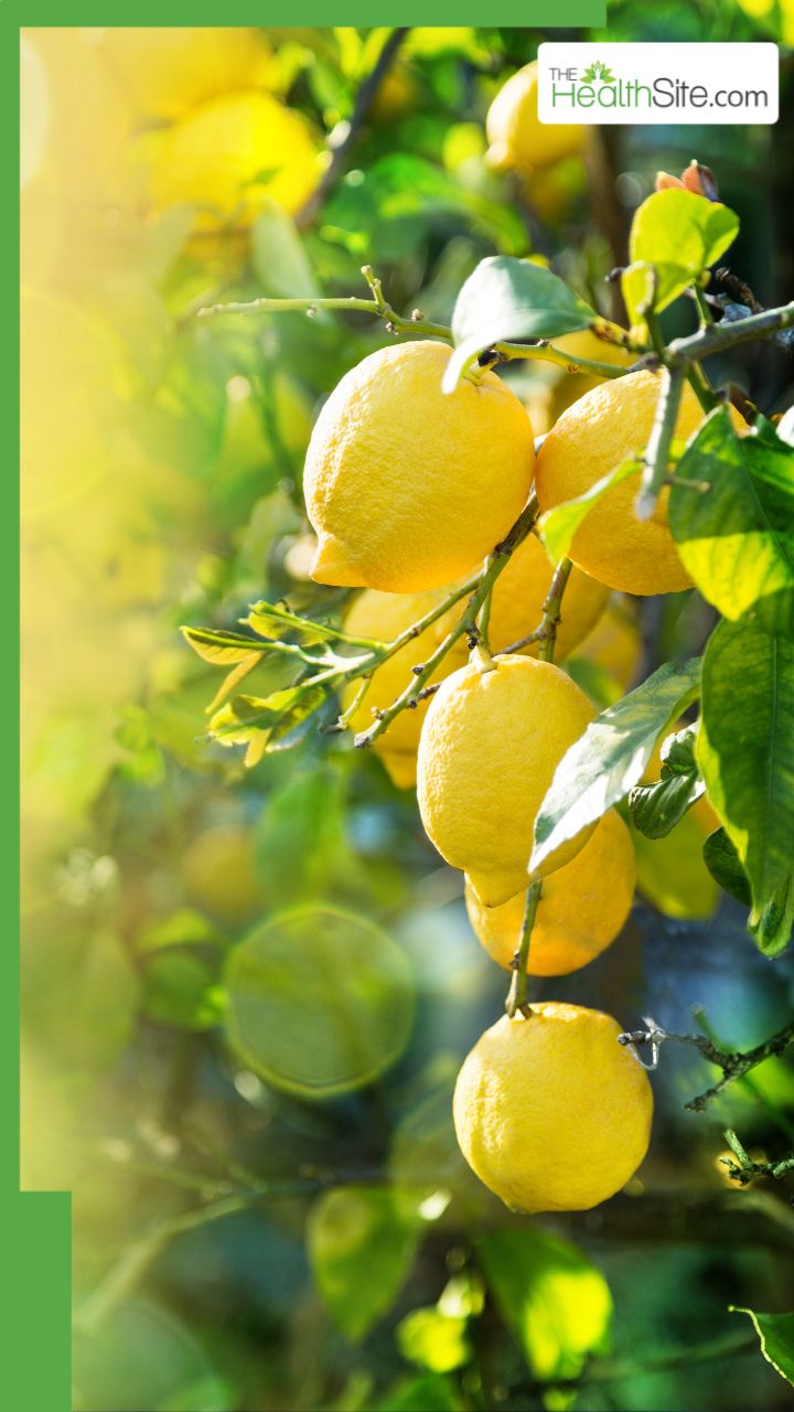 नींबू पानी से पेट की चर्बी कैसे कम करें?