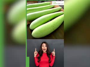 गर्मियों में लौकी खाने से आंतों को क्या फायदा होता है?