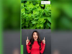 अजवाइन के पत्ते खाने के 7 फायदे