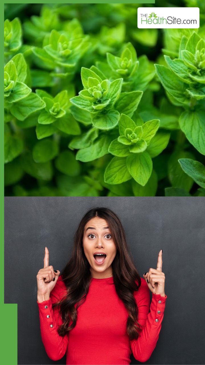 рдЕрдЬрд╡рд╛рдЗрди рдХреЗ рдкрддреНрддреЗ рдЦрд╛рдиреЗ рдХреЗ 7 рдлрд╛рдпрджреЗ