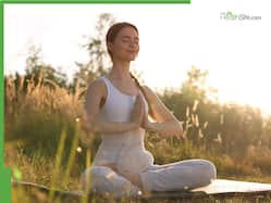 6 Simple Yoga Asanas To Practice Daily Under The Sun For Instant Energy Boost And Calm