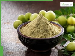 7 Powerful Health Benefits of Drinking Amla Moringa Shot Every Morning On Empty Stomach