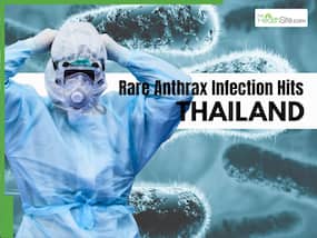 Anthrax Outbreak In Thailand: Deadly Bacteria Returns After 30 Years     Urgent Travel Warning For Indian Tourists