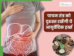 पाचन तंत्र को दुरुस्त रखना है तो आज ही डाइट में शामिल करें ये 4 आयुर्वेदिक हर्ब्स, डाइजेशन से जुड़ी समस्याएं होंगी दूर