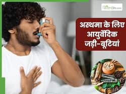 अस्थमा के इलाज में कारगर हैं ये 5 आयुर्वेदिक जड़ी-बूटियां, खांसी और सांस संबंधी समस्याओं से जल्द मिलेगा आराम