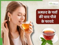 अमरूद के पत्तों की चाय पीने से दूर होंगी ये 5 समस्याएं, इस तरह करें घर पर तैयार