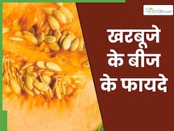 खरबूजे के बीजों का सेवन करने से सेहत को मिलेंगे ये 5 जबरदस्त फायदे, मोटापा से लेकर ब्लड शुगर होगा कंट्रोल