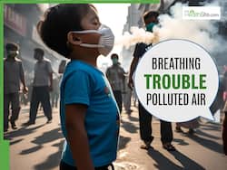 Breathing Poison? How PM2.5 And PM10 In Polluted Air Can Seriously Damage Your Lungs and Heart     Expert Explained