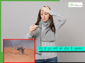 डेंगू होने के बाद शरीर के इस अंग को होता है सबसे अधिक नुकसान, बढ़ जाता है कई जानलेवा बीमारियों का भी रिस्क
