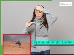 डेंगू होने के बाद शरीर के इस अंग को होता है सबसे अधिक नुकसान, बढ़ जाता है कई जानलेवा बीमारियों का भी रिस्क