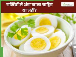 क्या गर्मियों में अंडा खाना चाहिए? जानें गर्मी में एक दिन में कितने अंडे खाना चाहिए