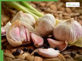 Garlic Juice On Empty Stomach: What Happens When You Drink 1 Garlic Clove Juice Every Morning