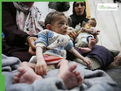 As Gaza Nears a Dooms Day-Like Situation, As Many As 14,000 Babies Could Die In Next 48 Hours, The UN Warns