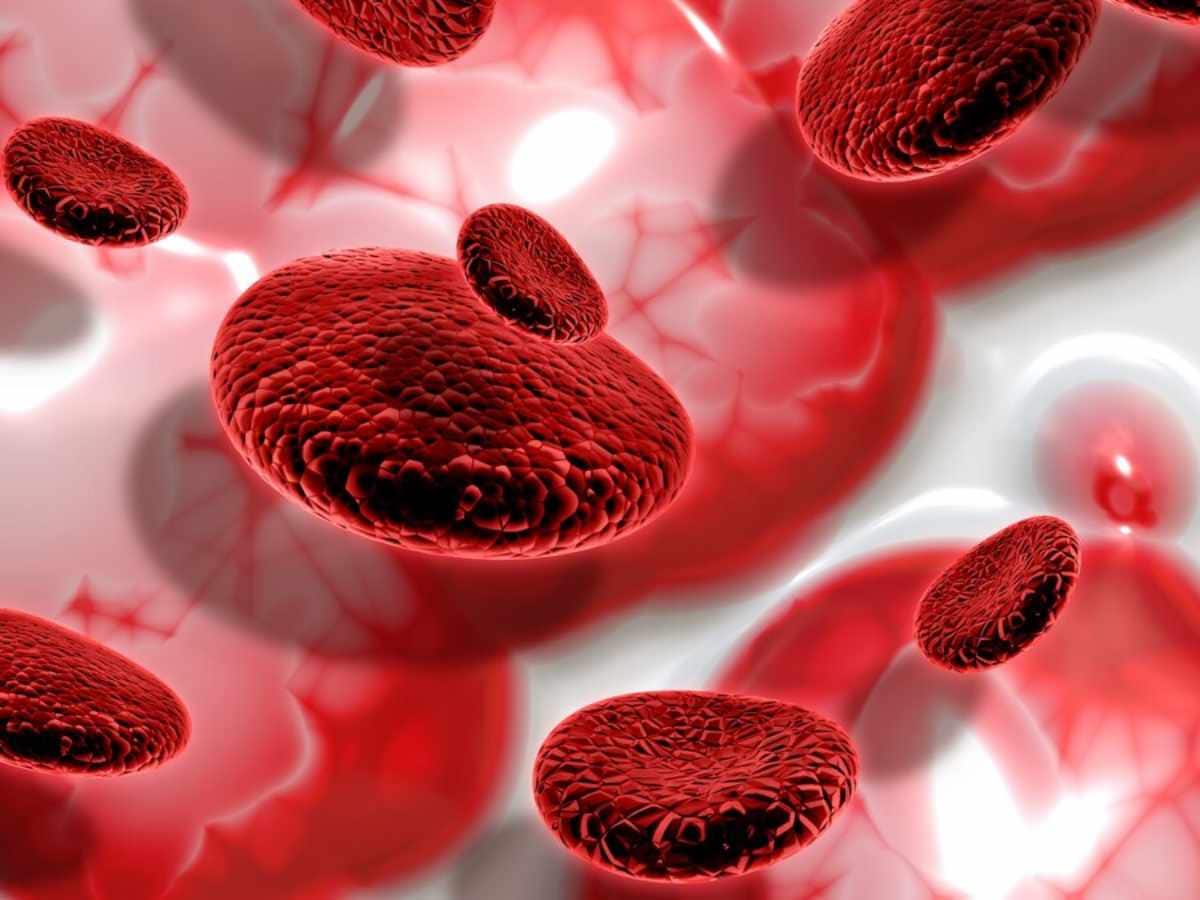 Haemophilia, Haemophilia causes, symptoms of Haemophilia, Haemophilia treatment, Haemophilia myths, Haemophilia facts, truth about Haemophilia 