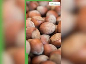 क्या गर्मियों में ड्राई फ्रूट्स खाने चाहिए?