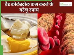 बैड कोलेस्ट्रॉल को कम करने के लिए आजमाएं ये 5 घरेलू उपाय, नहीं पड़ेगी दवा की जरूरत