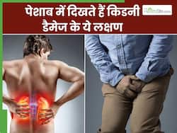 किडनी खराब होते ही पेशाब में दिखायी देते हैं ये 5 लक्षण, ये 2 लक्षण दिखते हैं केवल रात में