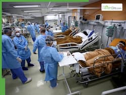 New COVID-19 Wave Sweeps India: Maharashtra, Kerala See Alarming Spike     How To Stay Safe From Coronavirus Re-Infection