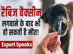 जानें क्यों रेबीज का इंजेक्शन लगाने से हो सकती है मौत!