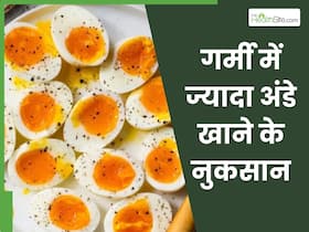 गर्मी में ज्यादा अंडे खाने से सेहत को हो सकते हैं ये 4 गंभीर नुकसान, जानें गर्मियों में 1 दिन में कितने अंडे खाएं