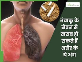 सिर्फ मुंह ही नहीं, तंबाकू के सेवन से डैमेज हो सकते हैं शरीर के ये 5 अंग, जानें तंबाकू छोड़ने के आसान उपाय सिर्फ मुंह ही नहीं, तंबाकू के सेवन से डैमेज हो सकते हैं शरीर के ये 5 अंग, जानें तंबाकू छोड़ने के आसान उपाय