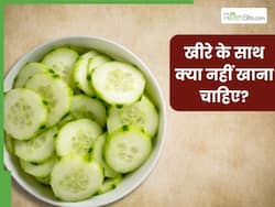 खीरे के साथ भूलकर भी नहीं खानी चाहिए ये 5 चीजें, खराब हो सकती है तबीयत