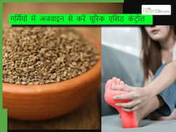 गर्मियों में सुबह उठते ही पी लें इन बीजों का पानी, बढ़ा हुआ यूरिक एसिड हो जाएगा मिनटों में साफ