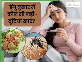 डेंगू से ठीक होने के लिए क्या खाना चाहिए? इन 5 जड़ी-बूटियों को खाने से जल्दी रिकवरी में मिलेगी मदद