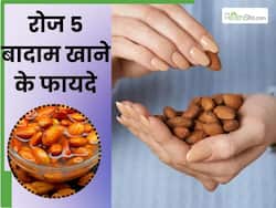 एक महीने तक रोज खाएं 5 भीगे हुए बादाम, सेहत को मिलेंगे ये जबरदस्त फायदे