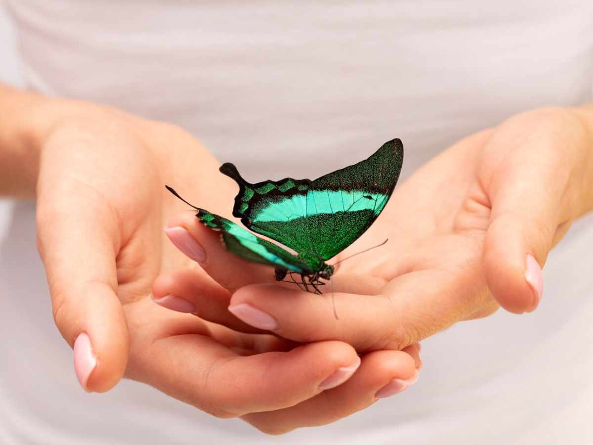 TikTok Trends, Mental health, positive thinking, positive thoughts, mental health habits, butterfly effect, mental well-being, positive thinking, mindfulness, empowerment, positive psychology, small actions matter, how to be in control of life