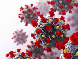 एक और कोरोना की लहर? हॉन्ग-कॉन्ग और सिंगापुर में फिर पाए गए कोविड-19 के मामले, लोगों में बढ़ी चिंता