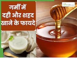गर्मी में एक साथ करें शहद और दही का सेवन, सेहत को मिलेंगे ये 4 जबरदस्त फायदे