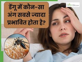 डेंगू में कौन-सा अंग सबसे ज्यादा प्रभावित होता है? डॉक्टर से जानें इस मच्छरजनित बीमारी के लक्षण