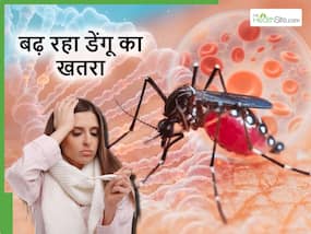 World dengue day: देश के कई शहरों में तेजी से बढ़ रहा डेंगू समेत कई बीमारियों का खतरा, एक्सपर्ट्स ने किया सावधान