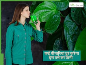 गर्मियों के पान के पत्ते का पानी पीने से मिलेंगे कई एक साथ 4 जबरदस्त फायदे, बस जान लें पीने का सही समय