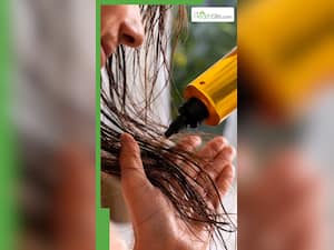 गर्मियों में बालों में कौन-सा हेयर ऑयल लगाना चाहिए?