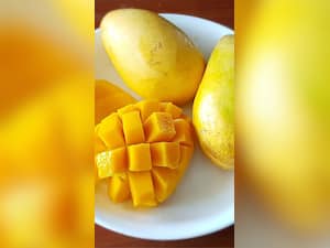 किन लोगों को नहीं खाना चाहिए आम?