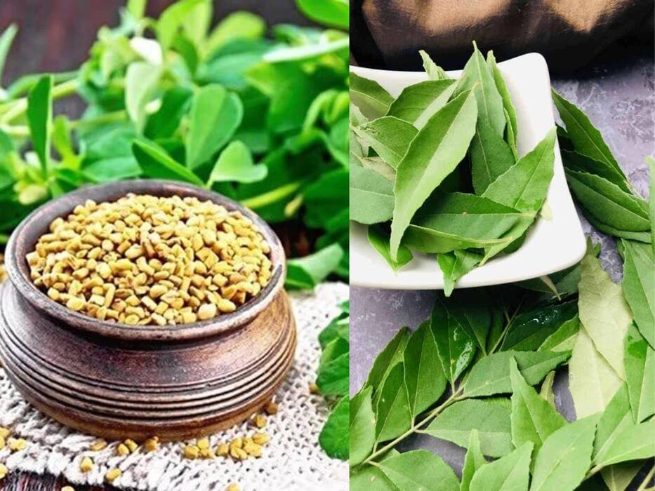 मेथी से बाल लंबे कैसे करें? जानें 5 तरीके, जिनसे कमर तक आ जाएंगे आपके बाल